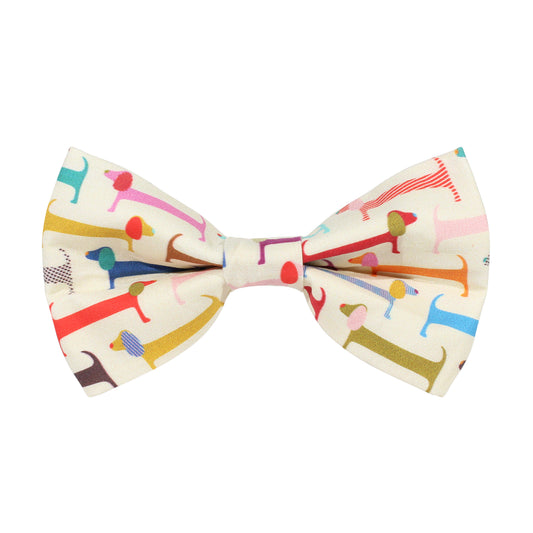 dachshund dog bow tie