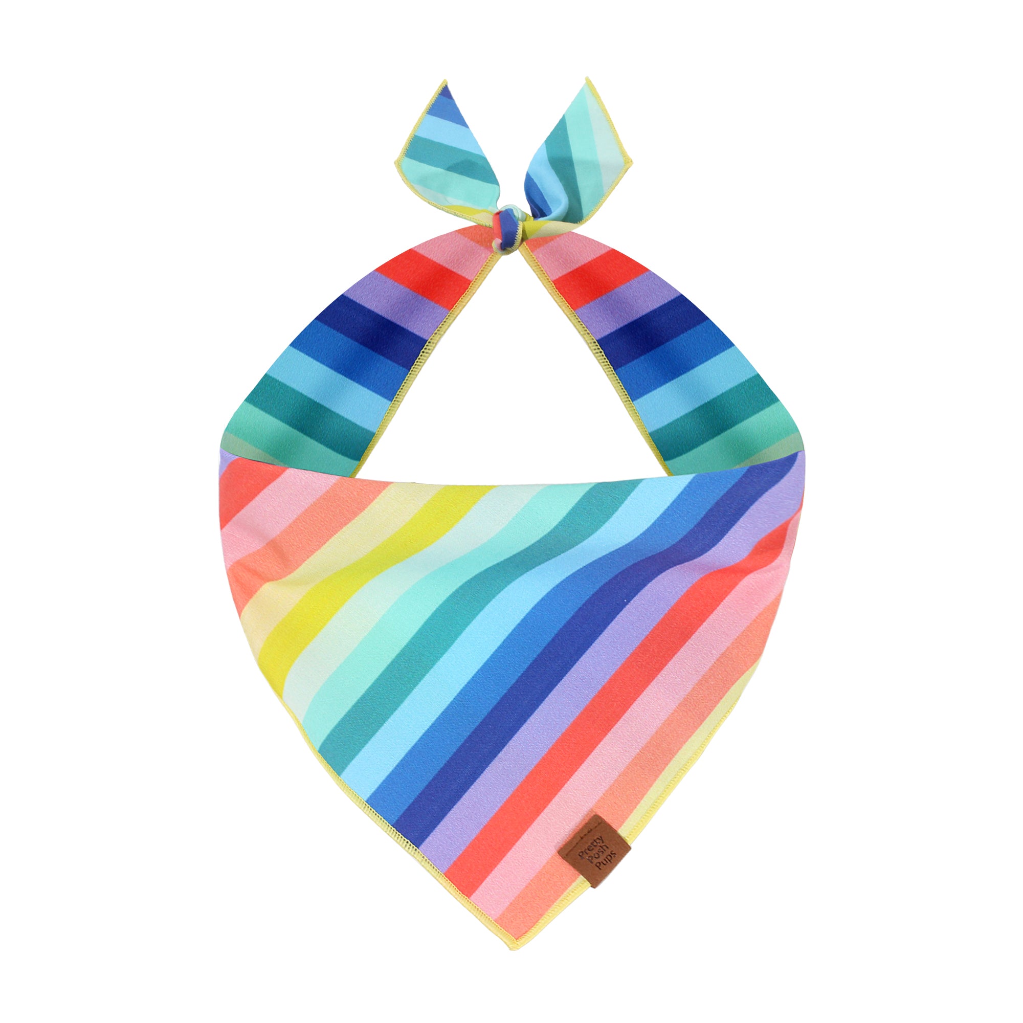 Spring Rainbow Dog Bandana