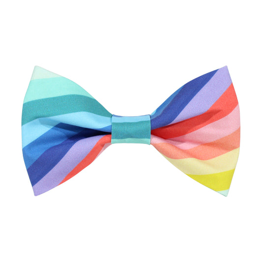 Spring Rainbow dog bow tie