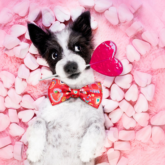 Paw-sitive Love Dog Bow Tie