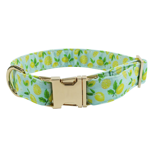 Lemon Dog Collar