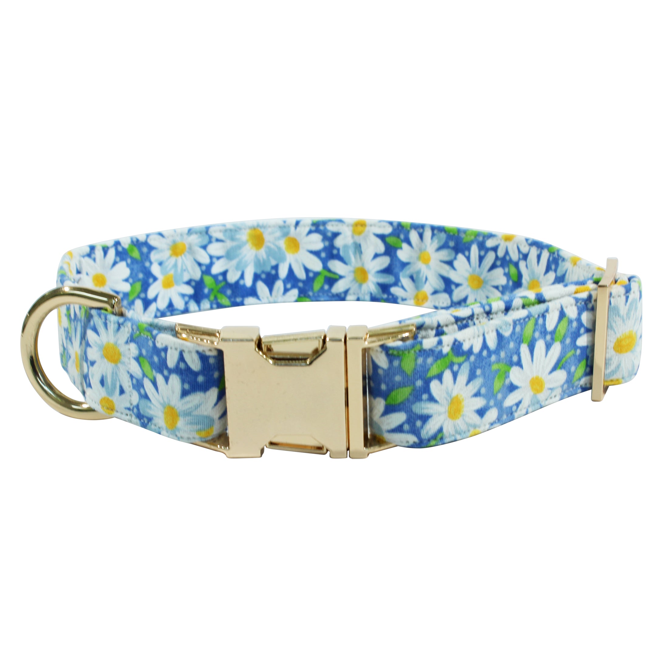 Daisy dreams Dog Collar