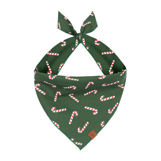 Candy Cane Dog Bandana