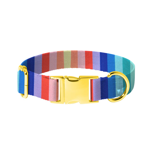 Spring Rainbow Dog Collar