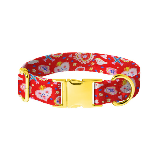 Paw-sitive love Dog Collar