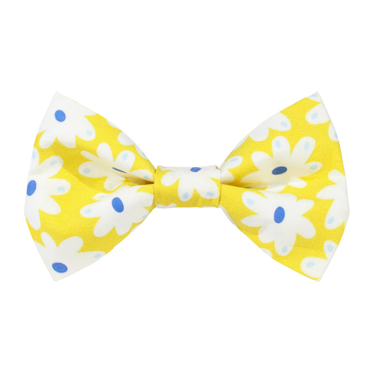Happy Daisies Dog Bow Tie