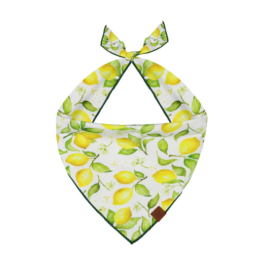 Lemonade Dog Bandana
