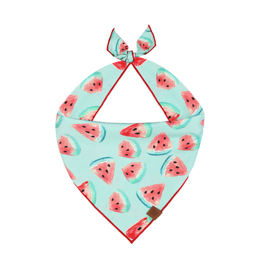 Watermelon Dog Bandana