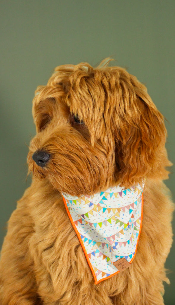Birthday Flags Dog Bandana
