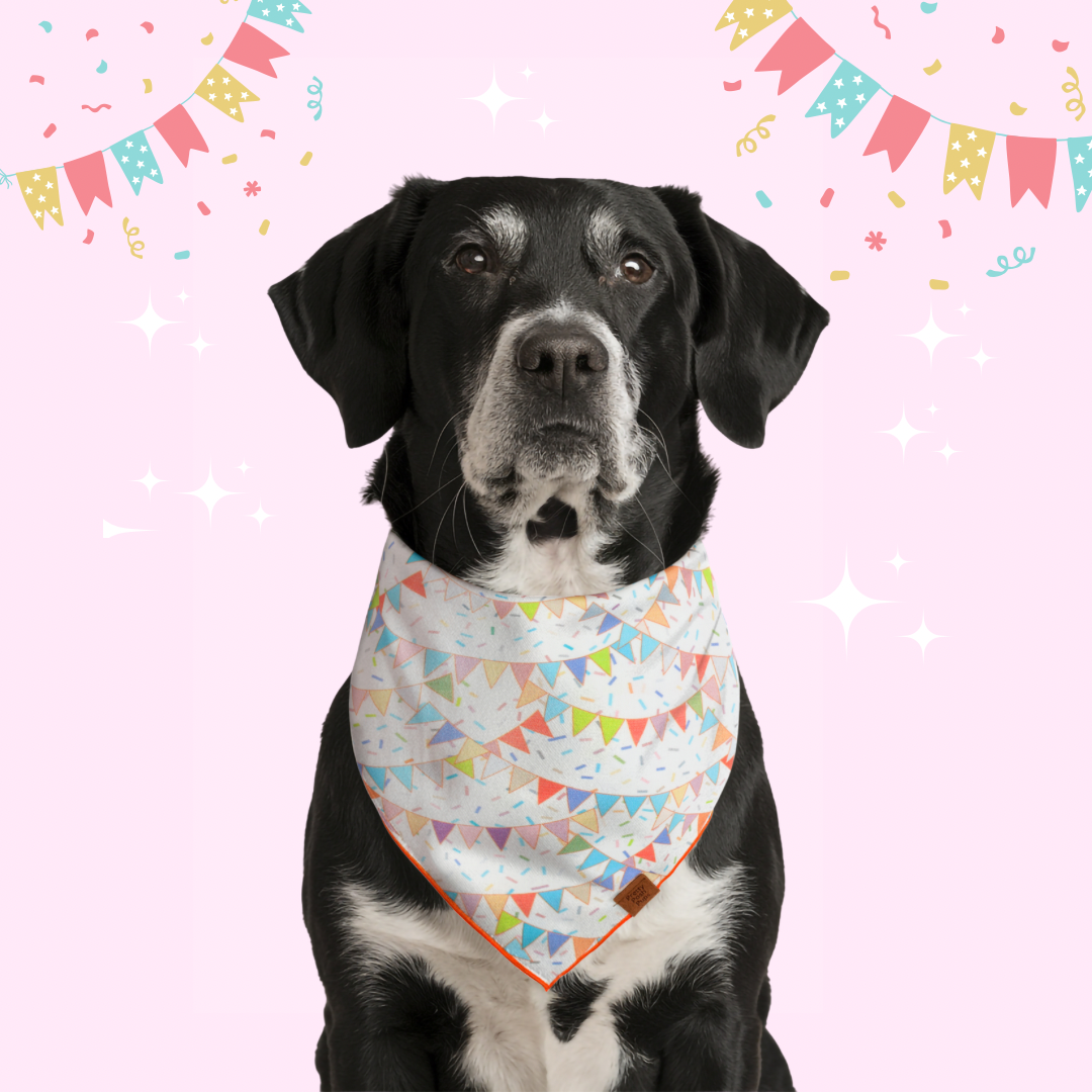 Birthday Flags Dog Bandana