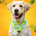 Load image into Gallery viewer, Lemon Dog Bandana
