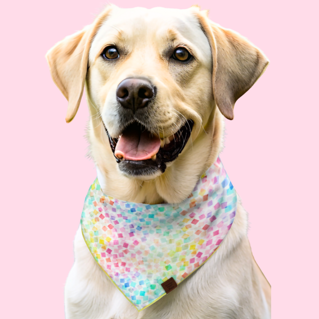 Birthday confetti Dog Bandana