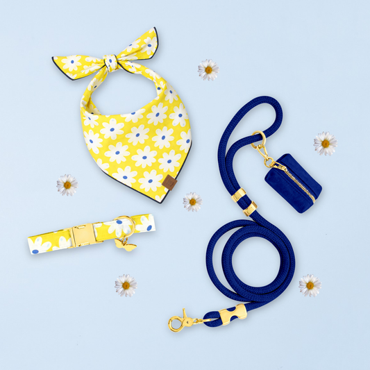 Happy Daisy Dog Collar
