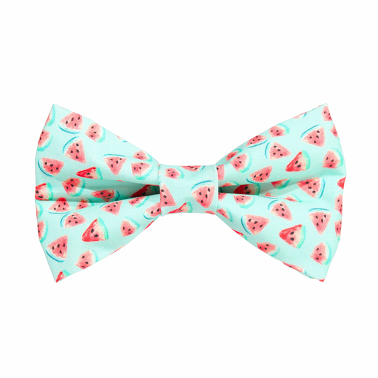 Watermelon dog Bow Tie