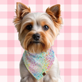 Load image into Gallery viewer, Birthday confetti Dog Bandana
