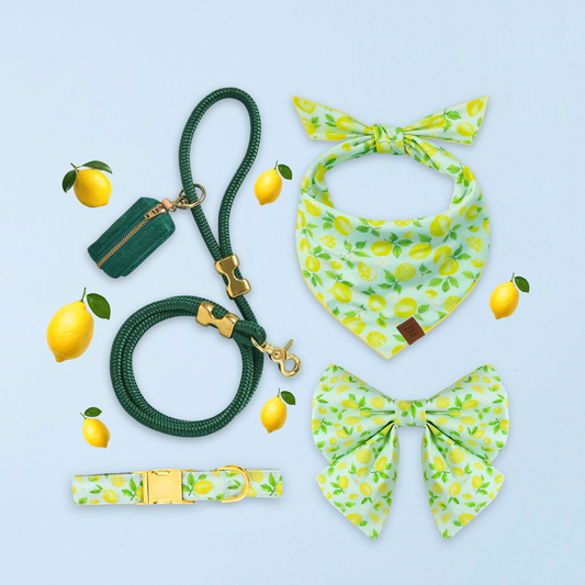 Lemon Dog Collar