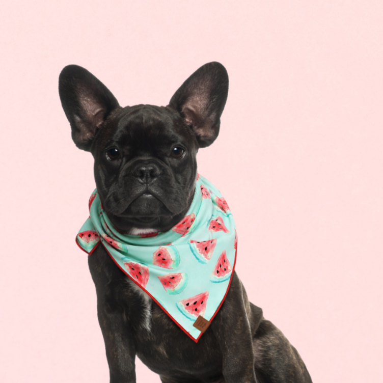 Watermelon Dog Bandana