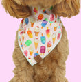 Load image into Gallery viewer, Paw-sicle treat Dog Bandana
