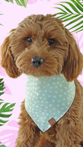 Load image into Gallery viewer, Green Spotty Dots Dog Bandana
