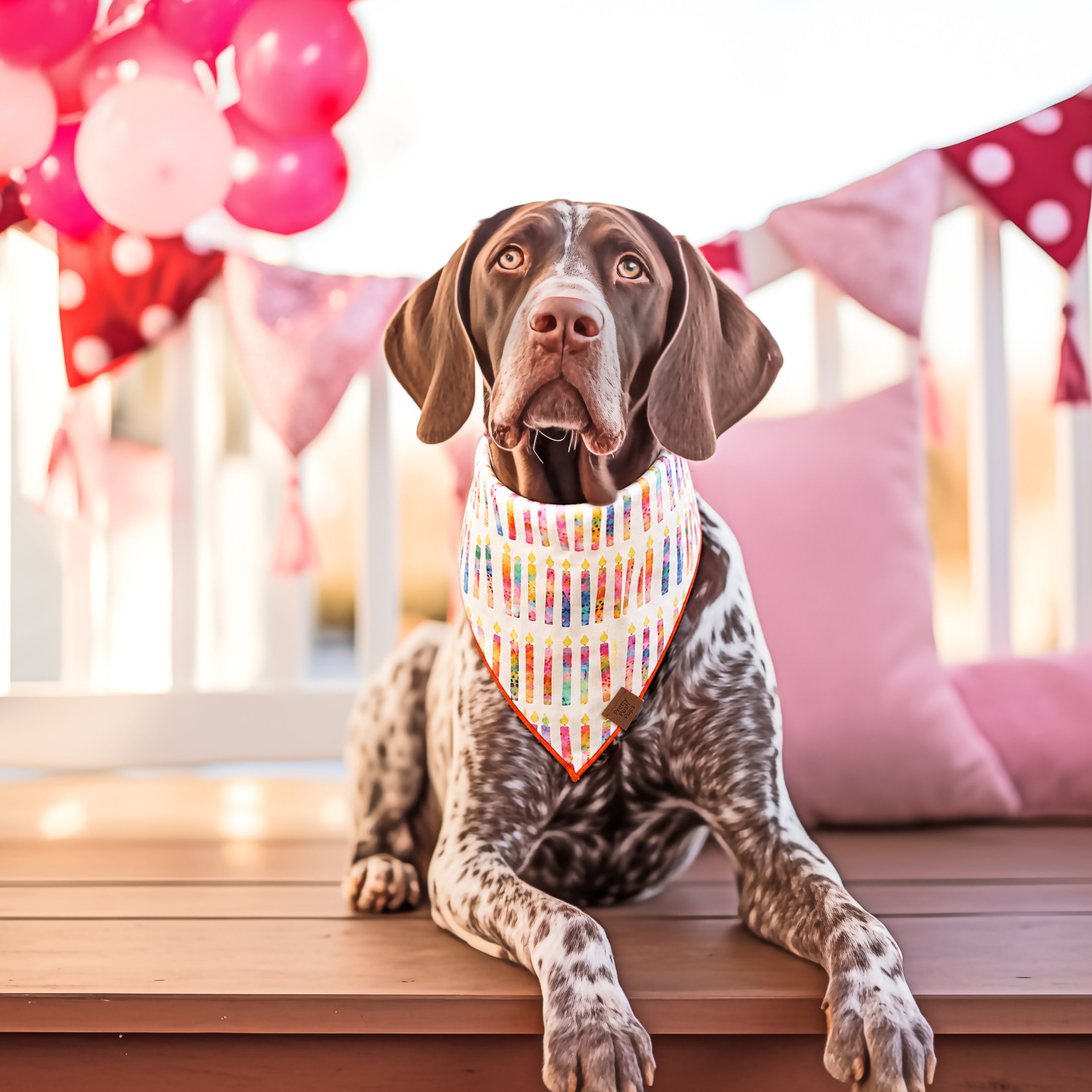 B.day candles Dog Bandana