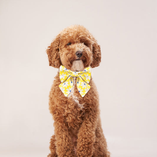 Happy Daisies dog lady Bow