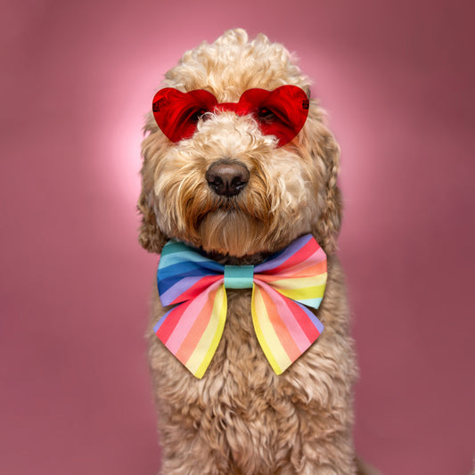 Spring Rainbow dog lady Bow