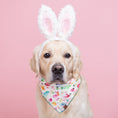 Load image into Gallery viewer, Bunny Dog Bandana

