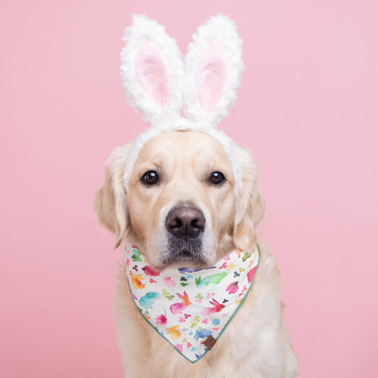 Bunny Dog Bandana