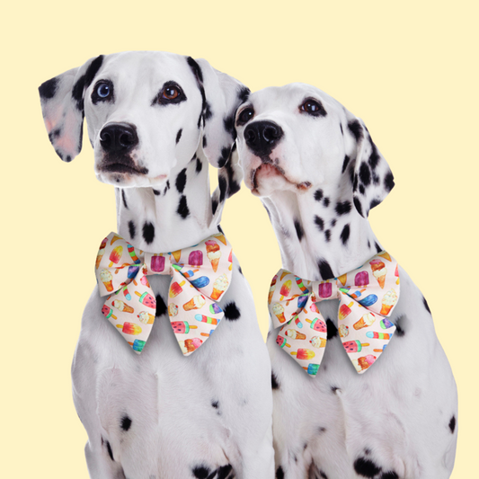 Paw-sicle treat Dog Lady Bow