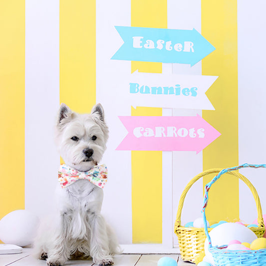 Bunny Dog Bow Tie