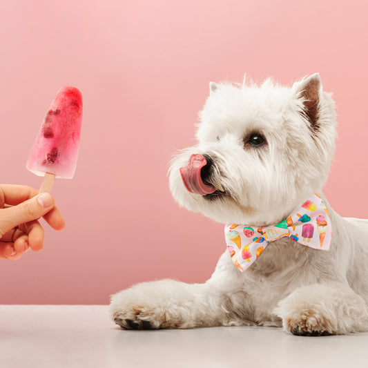 Paw-sicle treat Dog Bow Tie