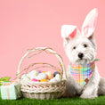 Load image into Gallery viewer, Happy Plaid Dog Bandana
