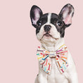 Load image into Gallery viewer, Dachshund Dog Lady Bow
