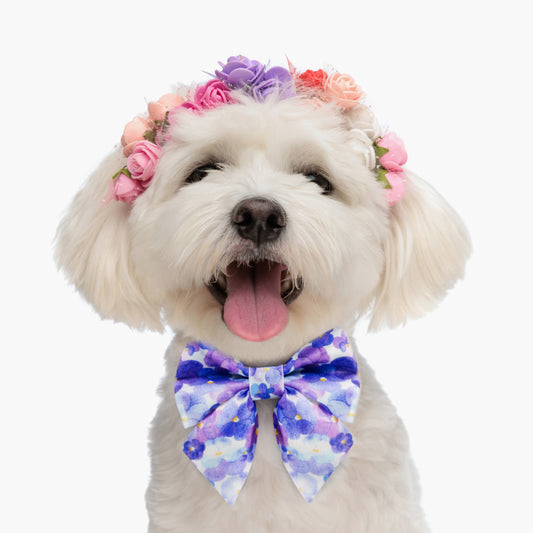 Pansy Flower Dog Lady Bow