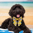Load image into Gallery viewer, Parasol dog lady Bow
