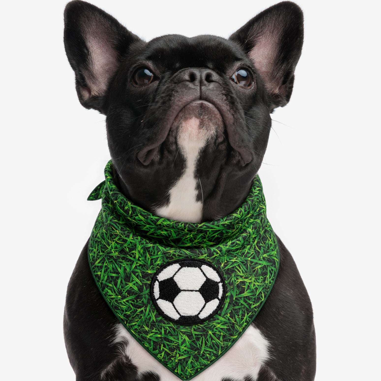 Soccer Ball Dog Bandana