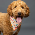 Load image into Gallery viewer, Dachshund Dog Bandana
