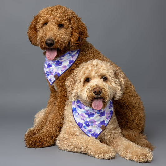 Pansy flower Dog Bandana