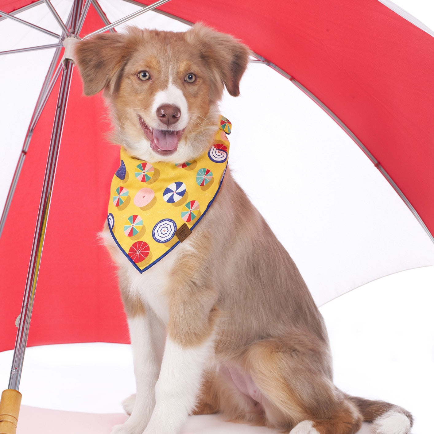 Parasol Dog Bandana