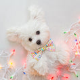 Load image into Gallery viewer, B.day Candles Dog Bow Tie
